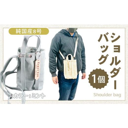 ふるさと納税 雑貨・日用品 滋賀県 愛荘町 純国産 ショルダーバッグ ミント 帆布 BI004-4 ミント