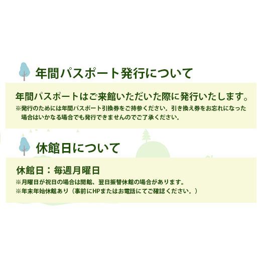 ふるさと納税 徳島県 那賀町 【1年間パスポート】那賀町山のおもちゃ美術館【大人1名＋子供1名（小学生〜中学生）】 おもちゃ美術館 おもちゃ 美術館 年間パス…｜furusatochoice｜08