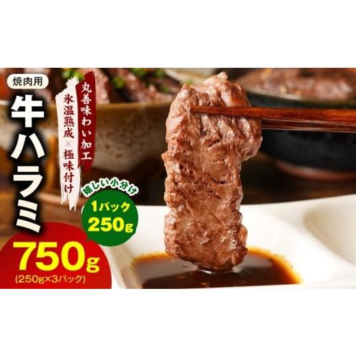 ふるさと納税 牛肉 焼肉・バーベキュー 大阪府 泉佐野市 牛肉 ハラミ 750g 小分け 250g×3P 氷温熟成×極味付け 牛肉 訳あり 不揃い 焼肉 BBQ 野菜炒め 圧倒的…