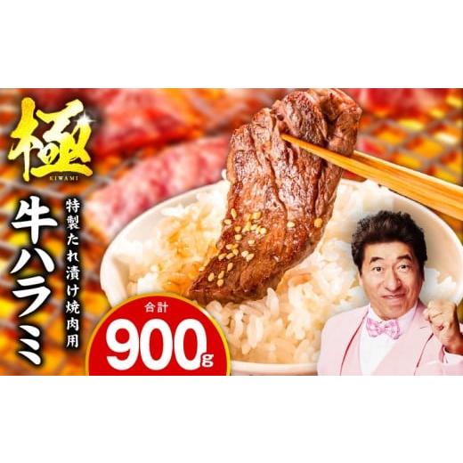 ふるさと納税 牛肉 焼肉・バーベキュー 大阪府 泉佐野市 牛肉 ハラミ 900g 小分け 300g×3P 氷温熟成×特製ダレ 味付き 牛肉 訳あり 不揃い 焼肉 BBQ 野菜炒め…