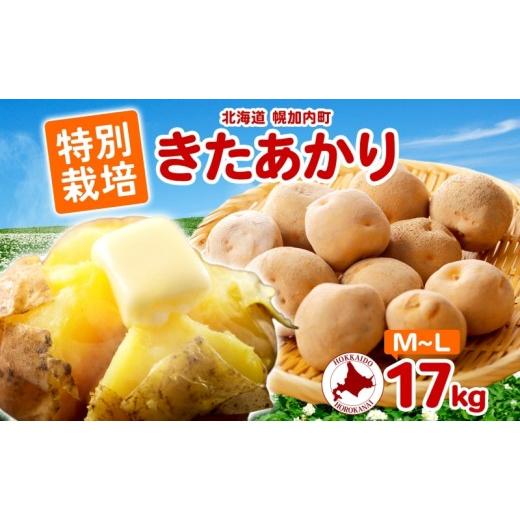 ふるさと納税 野菜類 サツマイモ 北海道 幌加内町 2026年秋以降出荷 北海道 特別栽培 じゃがいも きたあかり M〜L 約17kg ジャガイモ 馬鈴薯 芋 いも イモ ポ…