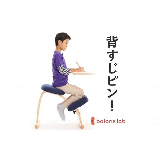 ふるさと納税 雑貨・日用品 インテリア 岐阜県 美濃市   0368バランス イージー(カバーなし)通常 :レッド 通常レッド