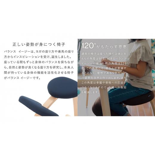 ふるさと納税 雑貨・日用品 インテリア 岐阜県 美濃市 No.5308-7217