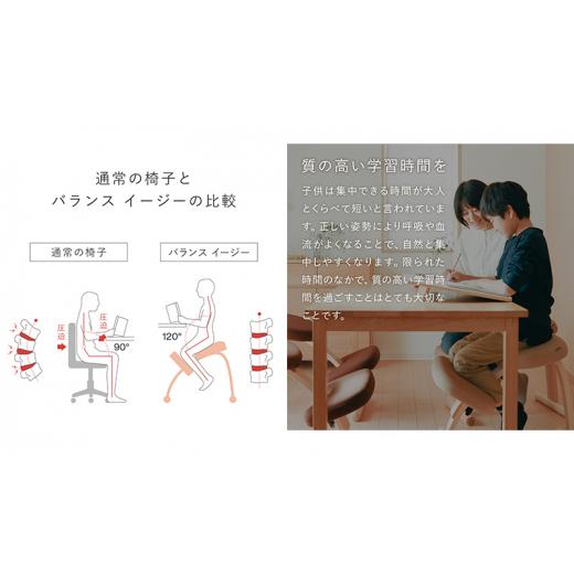 ふるさと納税 雑貨・日用品 インテリア 岐阜県 美濃市 No.5308-7217