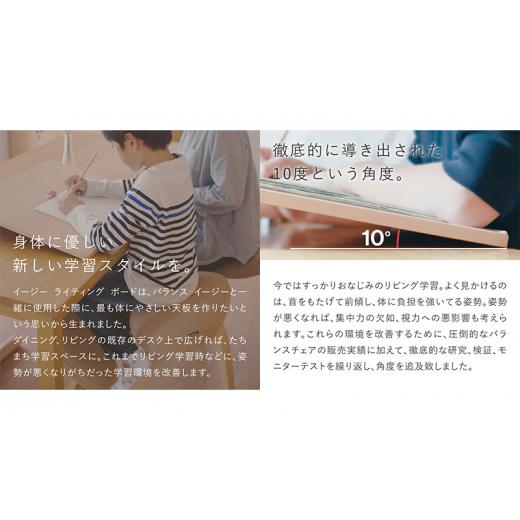 ふるさと納税 雑貨・日用品 インテリア 岐阜県 美濃市  No.5308-7256 0371バランスイージー(カバーなし)とイージーライティングボードLのセット 通常ネイビー…の画像