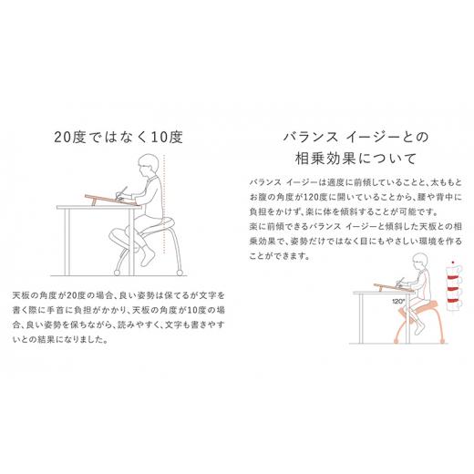 ふるさと納税 雑貨・日用品 インテリア 岐阜県 美濃市  No.5308-7263 0371バランスイージー(カバーなし)とイージーライティングボードLのセット ショートネイ…の画像