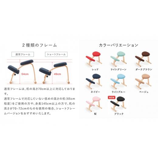 ふるさと納税 雑貨・日用品 インテリア 岐阜県 美濃市  No.5308-7267 0372バランスイージーカバー付きとイージーライティングボードLのセット 通常レッド+カ…の画像