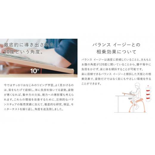 ふるさと納税 雑貨・日用品 インテリア 岐阜県 美濃市  No.5308-7273 0372バランスイージーカバー付きとイージーライティングボードLのセット 通常桜+カバー…の画像