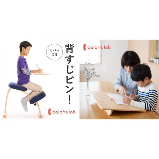 ふるさと納税 雑貨・日用品 インテリア 岐阜県 美濃市  No.5308-7279 0372バランスイージーカバー付きとイージーライティングボードLのセット ショートベージ…の画像