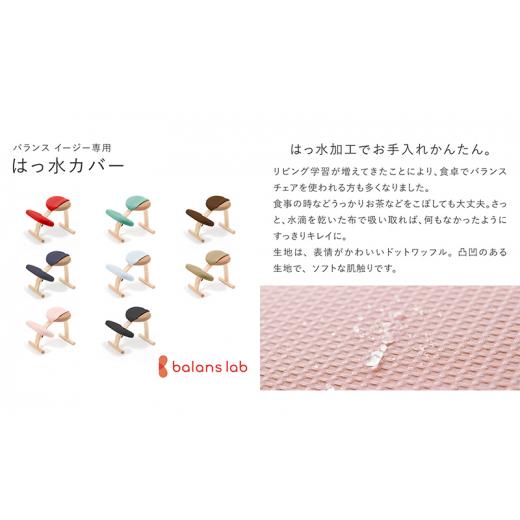ふるさと納税 雑貨・日用品 インテリア 岐阜県 美濃市  No.5308-7279 0372バランスイージーカバー付きとイージーライティングボードLのセット ショートベージ…の画像