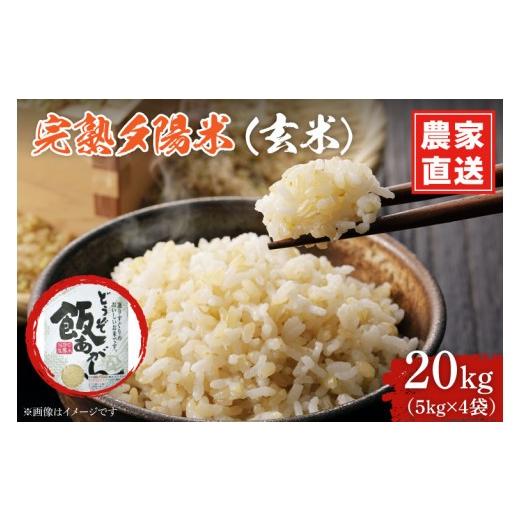 生産農家直送 令和7産ひとめぼれ 玄米20キロ 岩手県南 から ひとめぼれ