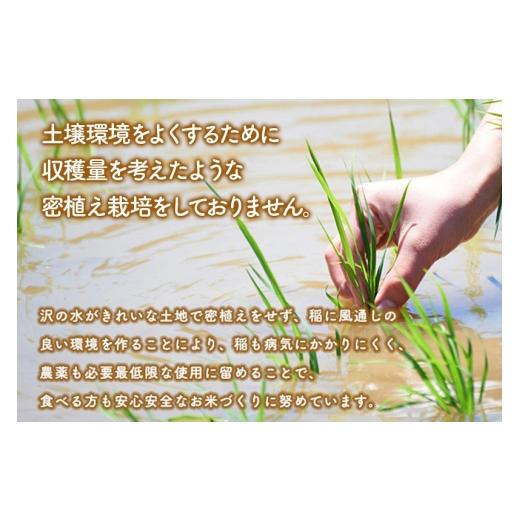 ふるさと納税 米 あきたこまち 秋田県 三種町  白米 家計お助け米 あきたこまち 27kg 秋田県産 令和7年産 こまちラインの画像