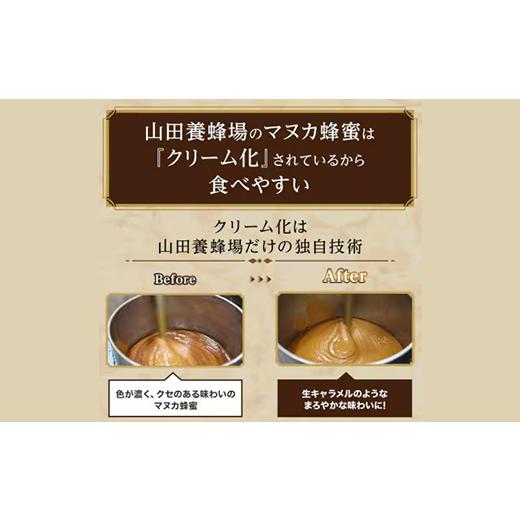 ふるさと納税 加工品等 はちみつ 岡山県 津山市  毎月定期便 マヌカ蜂蜜(クリームタイプ)MG100+(22193)全3回_ はちみつ 蜂蜜 山田養蜂場 マヌカハニー ハチミ…の画像