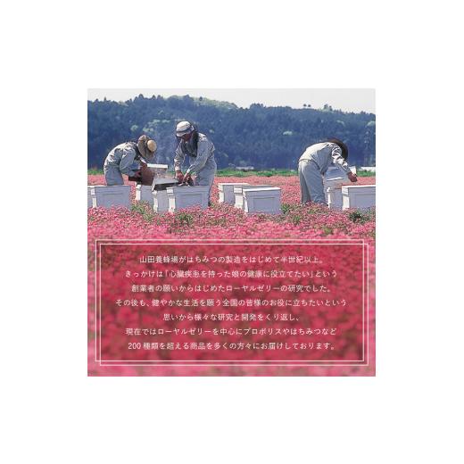 ふるさと納税 加工品等 はちみつ 岡山県 津山市  毎月定期便 マヌカ蜂蜜(クリームタイプ)MG100+(22193)全3回_ はちみつ 蜂蜜 山田養蜂場 マヌカハニー ハチミ…の画像