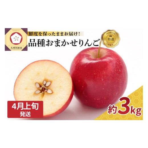ふるさと納税 りんご 青森県 五所川原市 2026年4月上旬発送 特選 丸かじり青森りんご 3kg程度 品種おまかせ1種(スマートフレッシュ貯蔵またはCA貯蔵) 4月上…