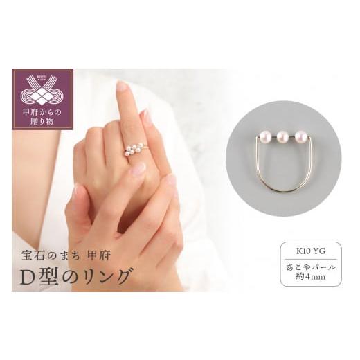 ふるさと納税 アクセサリー リング 山梨県 甲府市 サイズ:10号 [ 甲府ジュエリー ]K10 Dのリング 10307 サイズ:10号
