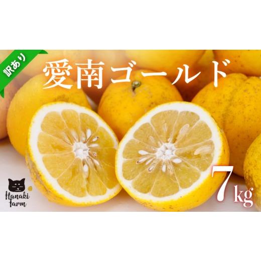 ふるさと納税 果物類 みかん 愛媛県 愛南町 訳あり 愛南ゴールド 7kg 河内晩柑 サイズミックス みかん 蜜柑 柑橘 果物 フルーツ 傷 シミ 愛南ゴールド アイス …