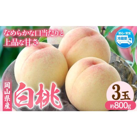 ふるさと納税 もも 岡山県 浅口市 2026年先行予約 岡山県産 白桃 内容量 3玉(約800g) クール便 晴れの国 おかやま館(フルーツランド岡山) [2026年7月中旬-…