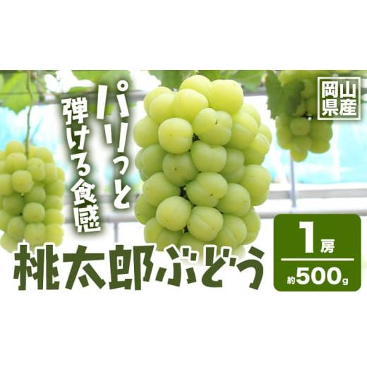 ふるさと納税 ぶどう 岡山県 浅口市 2026年先行予約 岡山県産 桃太郎ぶどう1房 約500g[2026年9月上旬-9月下旬頃出荷]晴れの国 おかやま館(フルーツランド岡…