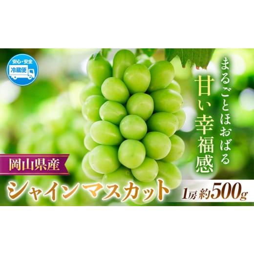 ふるさと納税 岡山県 浅口市 [令和6年度先行予約]岡山県産 シャインマスカット 約500g ( 1房 ) クール便 晴れの国 おかやま館(フルーツランド岡山) [2024…