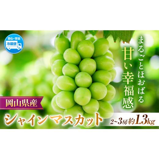 ふるさと納税 ぶどう 岡山県 浅口市 2026年先行予約 岡山県産 シャインマスカット 約1.3kg ( 2-3房 ) クール便 晴れの国 おかやま館(フルーツランド岡山) [2…