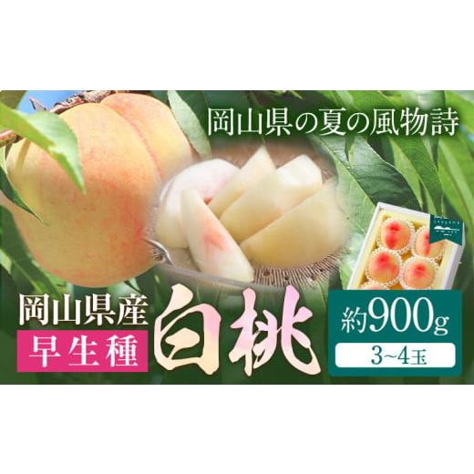 ふるさと納税 もも 岡山県 浅口市 令和8年度先行予約 岡山県産 白桃 (早生種)内容量 約900g (3〜4玉) クール便 晴れの国 おかやま館(漂流岡山) [2026年7…