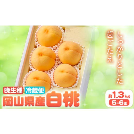 ふるさと納税 もも 岡山県 浅口市 2026年先行予約 岡山県産 白桃 晩生種 約 1.3 kg 5-6玉 晴れの国 おかやま館 漂流岡山 [2026年7月下旬-9月中旬頃出荷]岡…