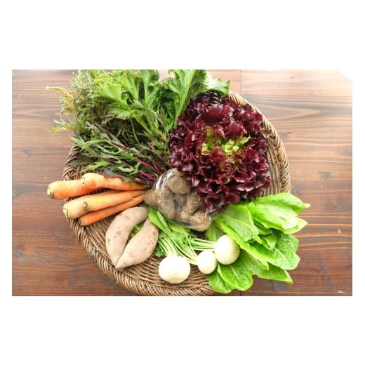 ふるさと納税 セット・詰合せ 愛知県 江南市 野菜 冬野菜 セット 6〜8種類 Dvege 愛知県 江南市 ko23btu130002 詰め合わせ 季節野菜 国産 旬 葉野菜 根菜 人参…
