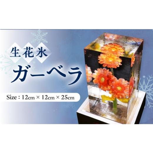 ふるさと納税 雑貨・日用品 花 長崎県 大村市 生花氷 ガーベラ (12cm×12cm×25cm) 約4kg 氷 花 インテリア プレゼント ギフト 大村市 大村製氷 ACZN003_1