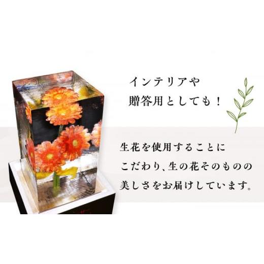ふるさと納税 雑貨・日用品 花 長崎県 大村市 生花氷 ガーベラ (12cm×12cm×25cm) 約4kg 氷 花 インテリア プレゼント ギフト 大村市 大村製氷 ACZN003_2