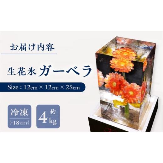 ふるさと納税 雑貨・日用品 花 長崎県 大村市 生花氷 ガーベラ (12cm×12cm×25cm) 約4kg 氷 花 インテリア プレゼント ギフト 大村市 大村製氷 ACZN003_3