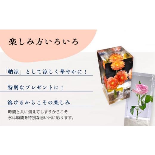ふるさと納税 雑貨・日用品 花 長崎県 大村市 生花氷 ガーベラ (12cm×12cm×25cm) 約4kg 氷 花 インテリア プレゼント ギフト 大村市 大村製氷 ACZN003_4
