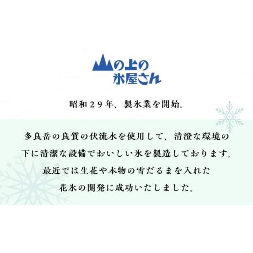 ふるさと納税 雑貨・日用品 花 長崎県 大村市 生花氷 ガーベラ (12cm×12cm×25cm) 約4kg 氷 花 インテリア プレゼント ギフト 大村市 大村製氷 ACZN003_5