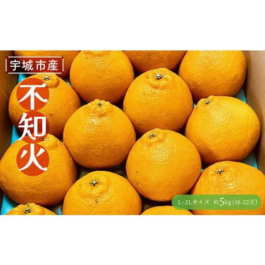 ふるさと納税 果物類 みかん 熊本県 宇城市 先行予約 不知火 約5kg 2026年3月上旬〜2026年5月上旬発送予定 しらぬい 果物 くだもの フルーツ 柑橘 谷川果樹園