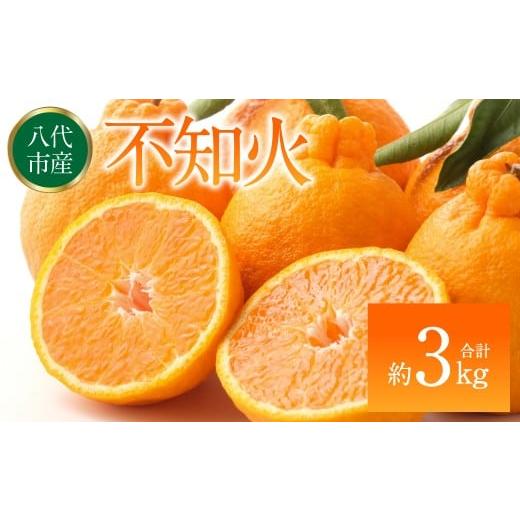 ふるさと納税 果物類 みかん 熊本県 八代市 先行予約 不知火(デコポンと同品種) 約3kg しらぬい でこみかん 柑橘 ミカン ポンカン くだもの 果物 フルーツ …