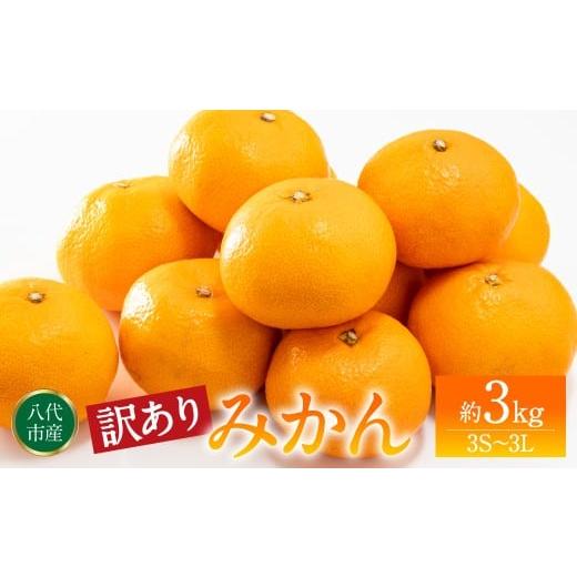 ふるさと納税 果物類 みかん 熊本県 八代市 訳あり みかん 家庭用 (3S〜3Lサイズ) 約3kg 八代市産 熊本 ご家庭用 蜜柑 ミカン 柑橘 くだもの 果物 フルーツ …