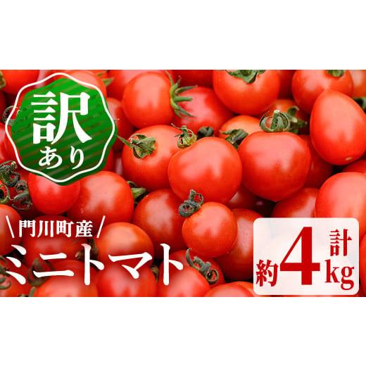 ふるさと納税 トマト ミニトマト 宮崎県 門川町 訳あり・規格外 数量限定の門川町産ミニトマト(計約4kg)フルーツトマト とまと 野菜 キャロルパッション 小鈴 …