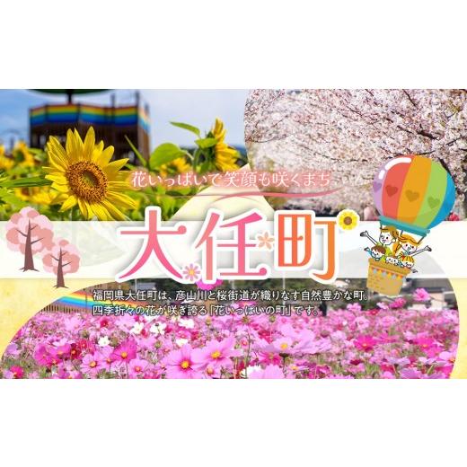 ふるさと納税 魚軟体動物 のり 福岡県 大任町 福岡有り明け方のり 無足し加えるの味付け海苔8切48枚×6袋 海苔 のり ノリ 有り明け方海苔 有り明け方のり 味付け海苔 味付けのり 無足し加える 家…