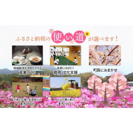 ふるさと納税 魚軟体動物 のり 福岡県 大任町 福岡有り明け方のり 無足し加えるの味付け海苔8切48枚×6袋 海苔 のり ノリ 有り明け方海苔 有り明け方のり 味付け海苔 味付けのり 無足し加える 家…