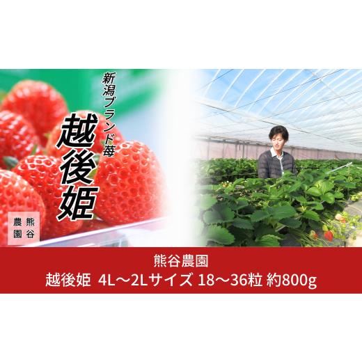 ふるさと納税 いちご 新潟県 三条市 先行予約 越後姫 4〜2Lサイズ 24〜30粒 いちご 2026年2月〜4月発送予定 熊谷農園