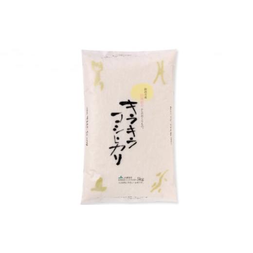 ふるさと納税 米 コシヒカリ 新潟県 新潟市 特別栽培米キラキラコシヒカリ 5kg