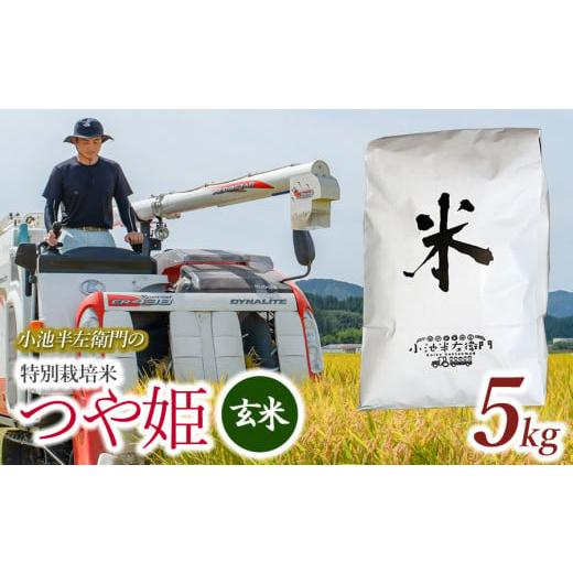 ふるさと納税 米 つや姫 山形県 鶴岡市 数量限定 令和7年産 新米 山形県庄内産 小池半左衛門のお米 特別栽培米 つや姫 玄米 5kg (5kg×1袋)