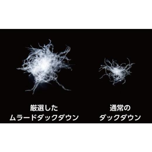 ふるさと納税 西洋手ぬぐい・寝具 掛け布団 岡山県 岡山市 鳥毛 布団 岡山市で作られた 鳥毛肌掛けふとん ホワイトダック 93％ セミダブルサイズ 寝具