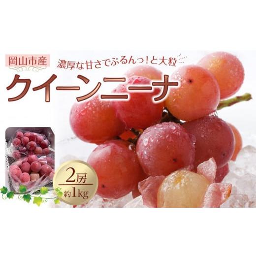 ふるさと納税 果物類 ぶどう 岡山県 岡山市 ぶどう 2026年 クイーンニーナ 2房 合計約1kg 種無し ブドウ 葡萄 岡山市産 国産 フルーツ 果物 渡邊農園