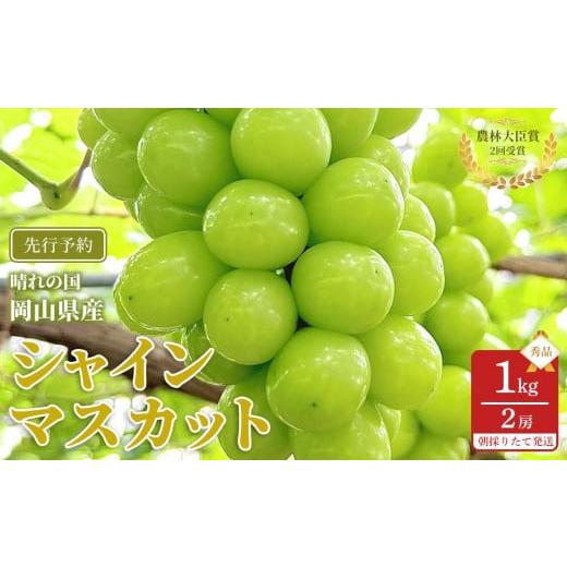 ふるさと納税 果物類 ぶどう 岡山県 岡山市 ぶどう 2026年 シャインマスカット 秀品 約1kg 合計2房 農林大臣賞受賞 岡山 国産 果物 フルーツ シャイン マスカ…