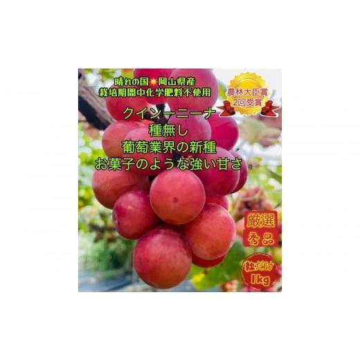 ふるさと納税 果物類 ぶどう 岡山県 岡山市 ぶどう2026年 クイーンニーナ 厳選 秀品 粒だけ 約1kg 岡山 国産 果物 フルーツ 2026年8月上旬から発送