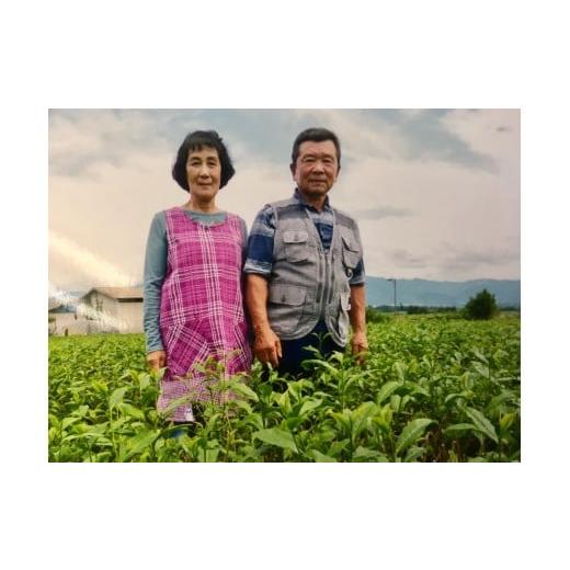 ふるさと納税 お茶類 緑茶（茶葉・ティーバッグ） 熊本県 相良村 熊本県相良村産 さがら茶詰め合わせセット（5種）_8