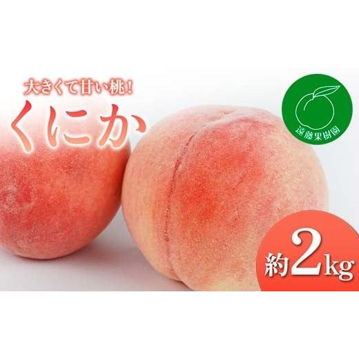ふるさと納税 もも 福島県 伊達市 2026年出荷分先行予約 福島県産 くにか 約2kg (5〜9玉) 遠藤果樹園 贈り物 贈答 ギフト 伊達の桃 桃 フルーツ 果物 もも モ…