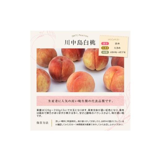 ふるさと納税 もも 福島県 伊達市  2026年出荷分先行予約 福島県産 川中島白桃 約2kg (5〜9玉) 遠藤果樹園 白桃 大玉 伊達の桃 桃 フルーツ 果物 もも モモ mo…の画像