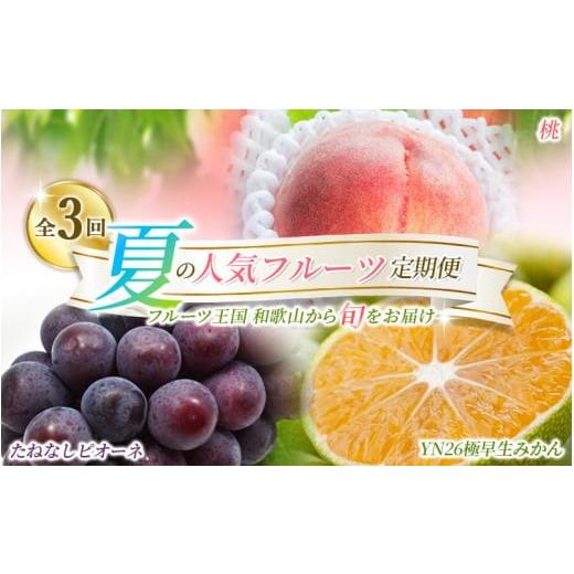 ふるさと納税 もも 和歌山県 古座川町 定期便 夏の人気フルーツ定期便 桃・ピオーネ・極早生みかん(全3回)/ フルーツ 果物 もも モモ ぶどう ブドウ みか…